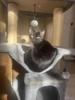 /album/21-10-2025/278c65d1-ffc2-43f3-9b26-7418f409f30a-jpeg/