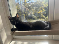 /album/21-10-2025/img-20251021-wa0003-jpg/