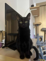 /album/21-10-2025/img-20251021-wa0004-jpg/