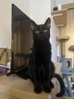 /album/21-10-2025/img-20251021-wa0005-jpg/