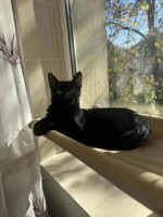 /album/21-10-2025/img-20251021-wa0006-jpg/