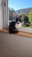 /album/179/img-20251022-wa0016-jpg/