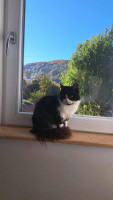 /album/179/img-20251022-wa0017-jpg/