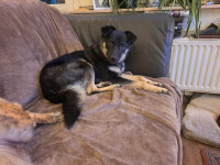 /album/09-11-20252/img-20251109-wa0081-jpg/