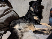 /album/09-11-20252/img-20251109-wa0078-jpg/