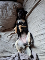 /album/09-11-20252/img-20251109-wa0072-jpg/