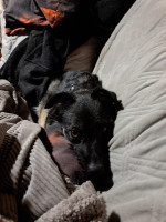 /album/09-11-20252/img-20251109-wa0073-jpg/