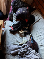 /album/09-11-20252/img-20251109-wa0067-jpg/