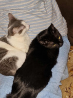 /album/09-11-20253/e3970ae6-cd8e-43b0-b599-a1e95ec2a755-jpeg/