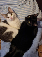 /album/09-11-20253/ac3deea2-d38b-4ec3-a717-0662c99fc221-jpeg/