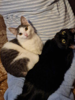 /album/09-11-20253/a1c490aa-90e4-416e-b6e3-b1b532bf6546-jpeg/