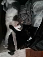 /album/09-11-20254/539faa53-ba4c-42da-8edf-32a65695ff82-jpeg1/