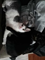 /album/09-11-20254/d5828233-649a-4ff0-ace7-c8910291151c-jpeg1/