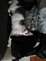 /album/09-11-20254/234b2e3b-098d-4a1d-ac29-8a4eacfa6daf-jpeg1/