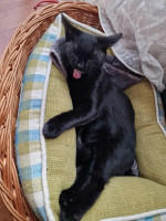 /album/09-11-20254/img-20251022-wa0040-jpg/