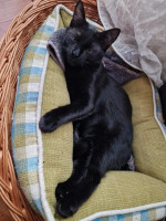 /album/09-11-20254/img-20251022-wa0041-jpg/