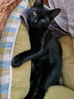 /album/09-11-20254/img-20251022-wa0042-jpg/