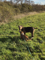 /album/10-11-2025/img-20251110-wa0011-jpg/