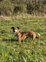 /album/10-11-2025/img-20251110-wa0010-jpg/