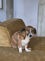 /album/10-11-2025/img-20251110-wa0007-jpg/