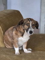 /album/10-11-2025/img-20251110-wa0008-jpg/