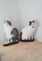 /album/12-11-2025/img-20251112-wa0041-jpg/