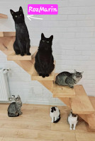 /album/14-11-2025/686f8ede-9a08-4fb1-93e9-30909a6eaba3-jpeg/