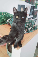 /album/14-11-2025/3e78334f-aaae-461f-9d25-a7408e57b435-jpeg/