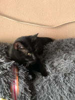 /album/16-11-20252/img-20251031-wa0017-jpg/