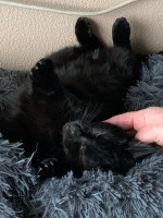 /album/16-11-20252/img-20251031-wa0011-jpg/