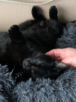 /album/16-11-20252/img-20251031-wa0012-jpg/