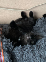 /album/16-11-20252/img-20251031-wa0013-jpg/