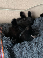 /album/16-11-20252/img-20251031-wa0014-jpg/