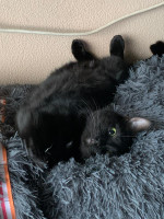 /album/16-11-20252/img-20251031-wa0015-jpg/