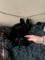 /album/16-11-20252/img-20251031-wa0009-jpg/