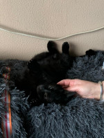 /album/16-11-20252/img-20251031-wa0010-jpg/