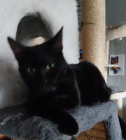 /album/16-11-20252/img-20251030-wa0007-jpg/