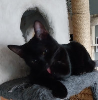 /album/16-11-20252/img-20251030-wa0008-jpg/