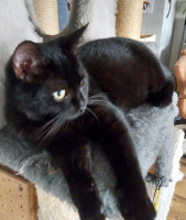 /album/16-11-20252/img-20251030-wa0005-jpg/