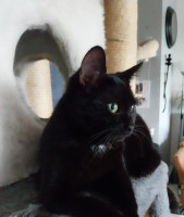 /album/16-11-20252/img-20251030-wa0006-jpg/