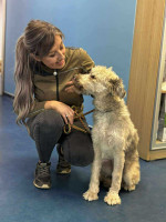 /album/52/img-20251116-wa0092-jpg/