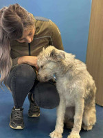 /album/52/img-20251116-wa0087-jpg/