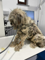 /album/52/img-20251116-wa0088-jpg/