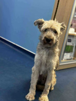 /album/52/img-20251116-wa0089-jpg/