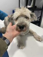 /album/52/img-20251116-wa0086-jpg/