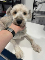 /album/52/img-20251116-wa0083-jpg/