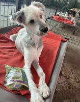 /album/52/img-20251116-wa0080-jpg/