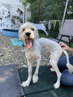 /album/52/img-20251116-wa0085-jpg/