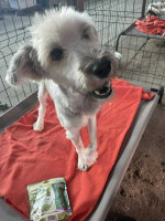 /album/52/img-20251116-wa0079-jpg/