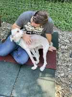 /album/52/img-20251116-wa0082-jpg/